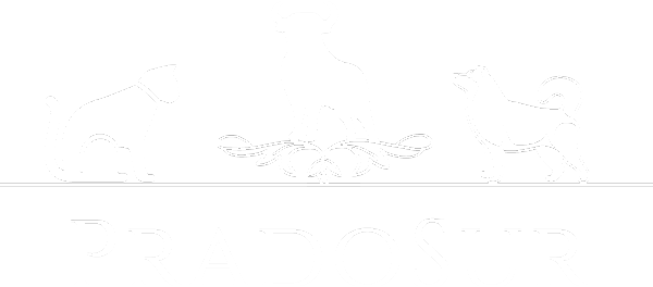 pradosur-logotipo-movil