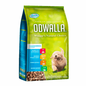 ODWALLA CACHORRO