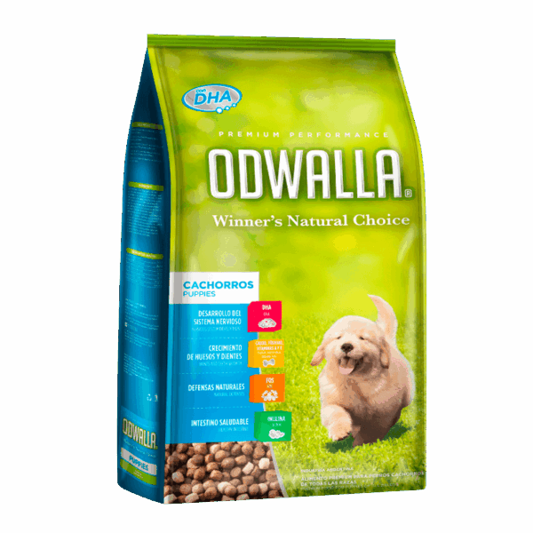 ODWALLA CACHORRO