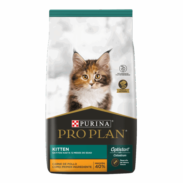 PRO PLAN GATITO