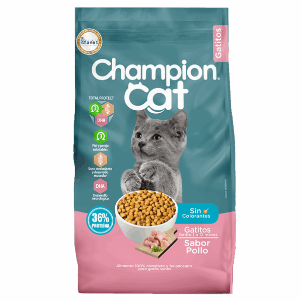 CHAMPION CAT GATITOS