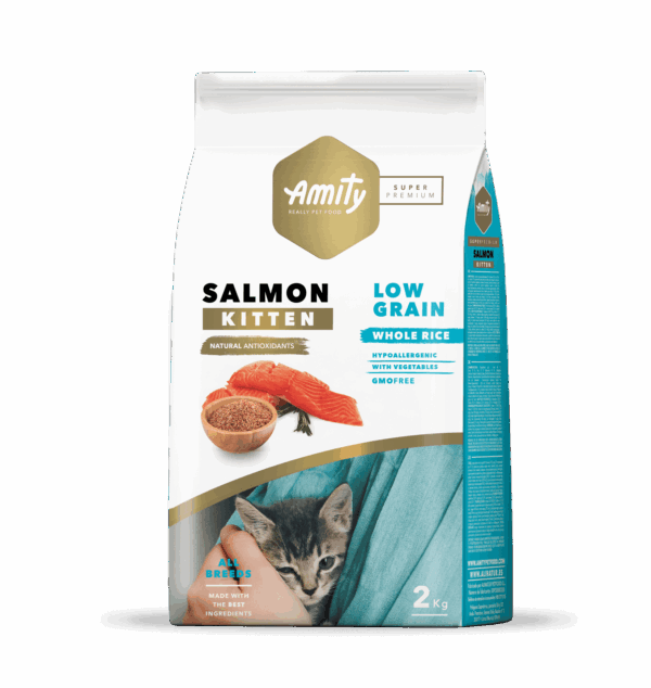 AMITY SALMON KITTEN