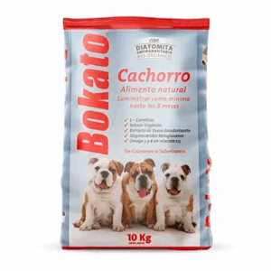 BOKATO CACHORRO