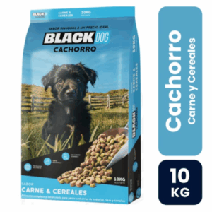BLACK DOG CACHORRO