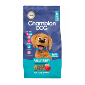 CHAMPION DOG CACHORRO