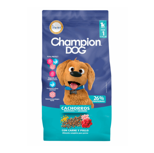 CHAMPION DOG CACHORRO